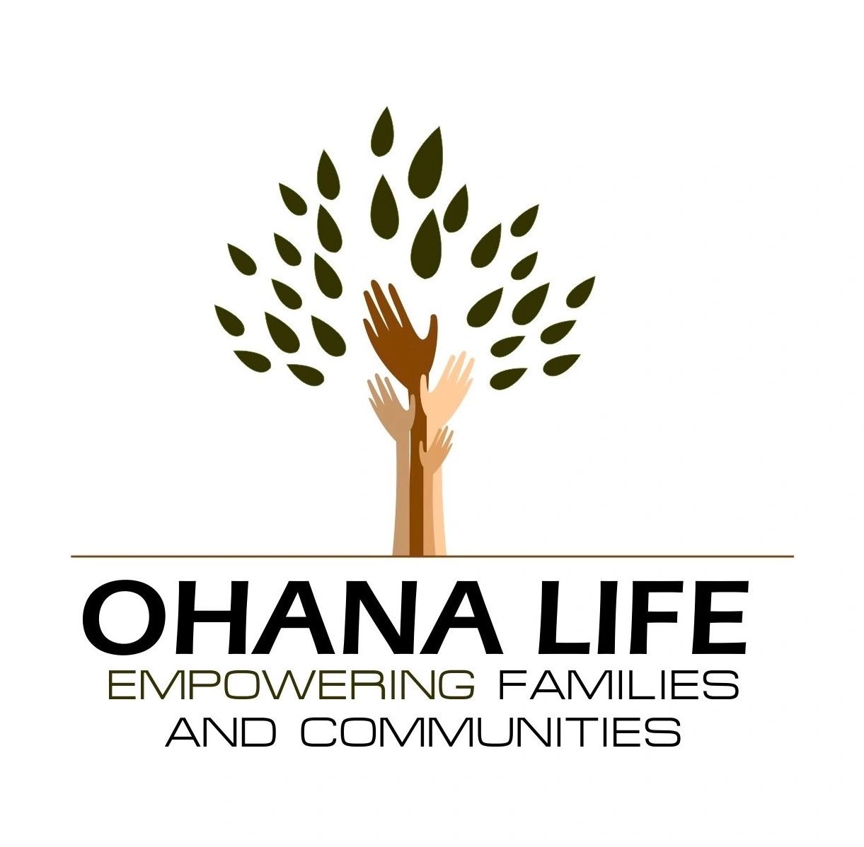 OHANA FAMILY SUPPORT STRENGTHENING PROGRAMS intelligence overview